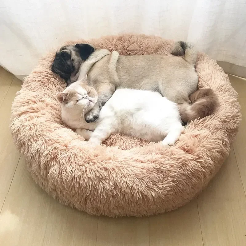 Cushion Cloud Pet Bed