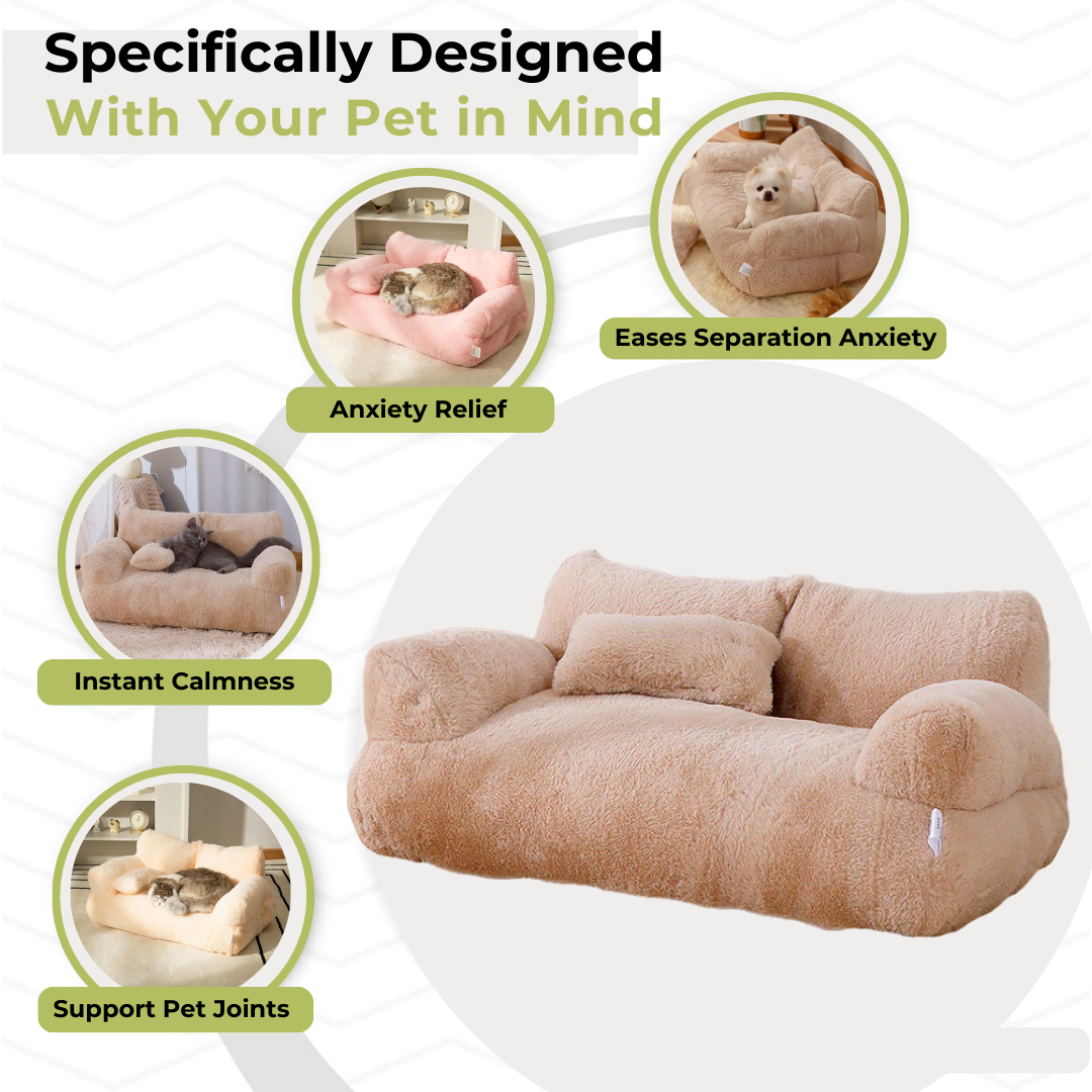 Cat Couch Sofa Bed