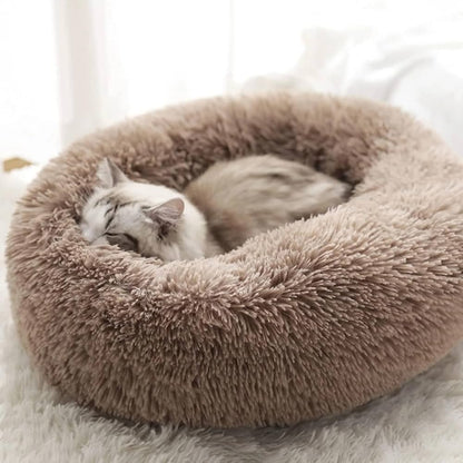 Cushion Cloud Pet Bed