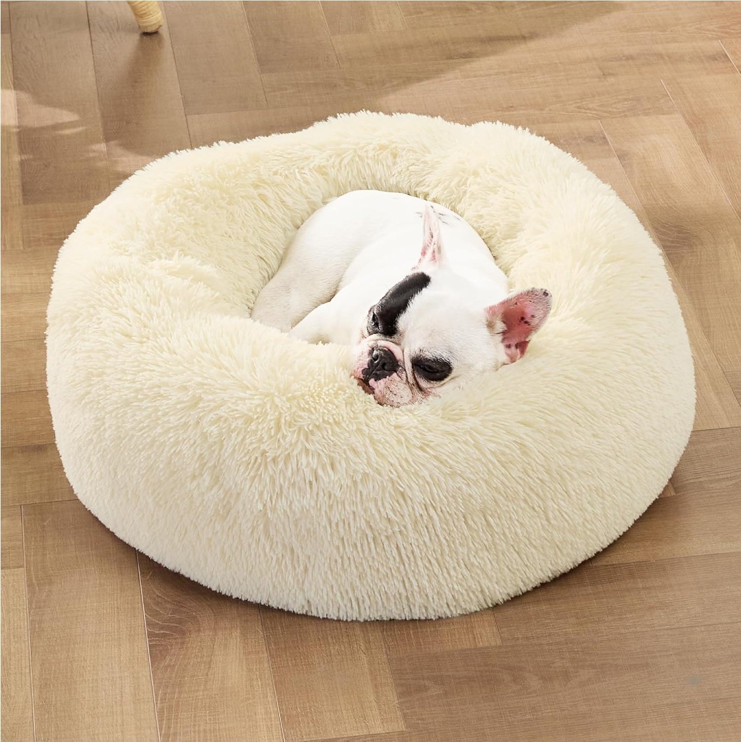 Cushion Cloud Pet Bed