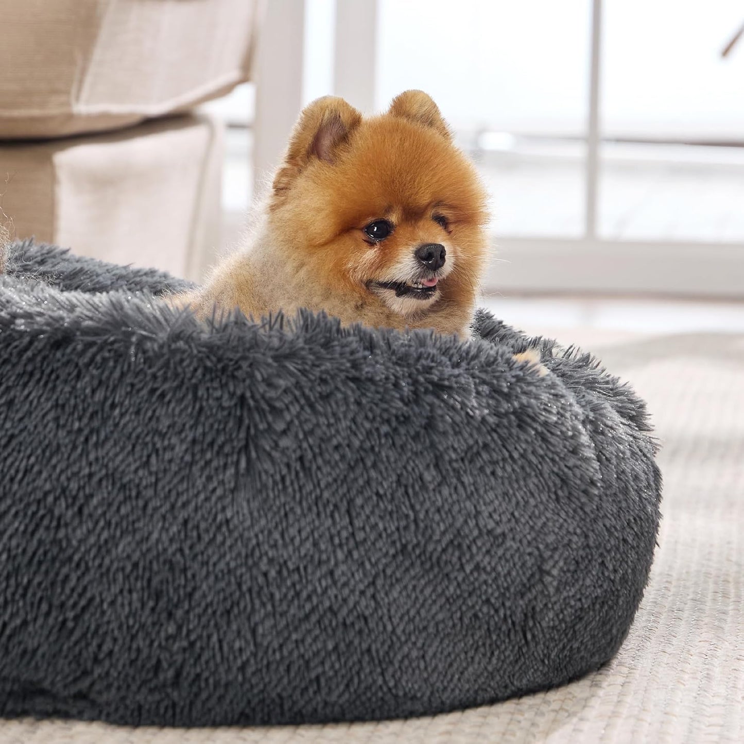 Cushion Cloud Pet Bed