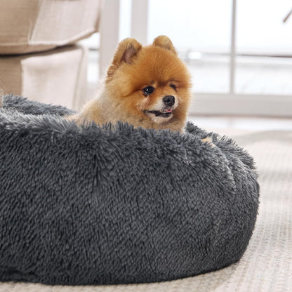 Cushion Cloud Pet Bed