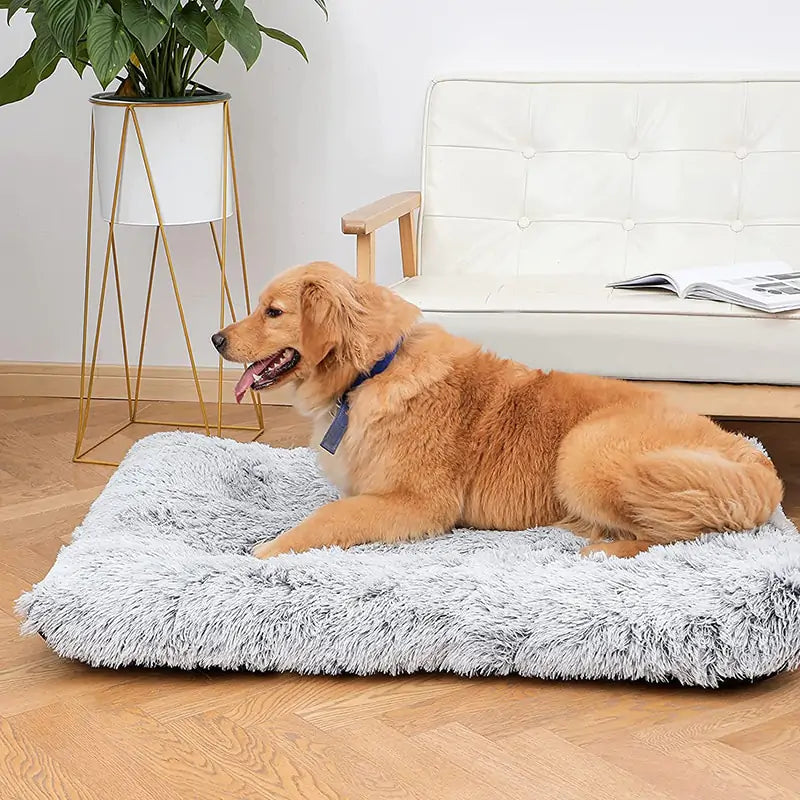 Plush Pet Bed