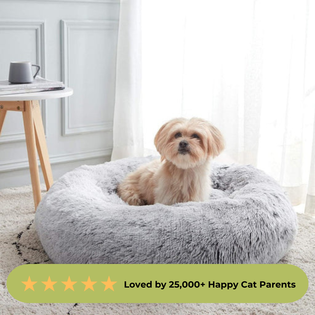 Cushion Cloud Pet Bed