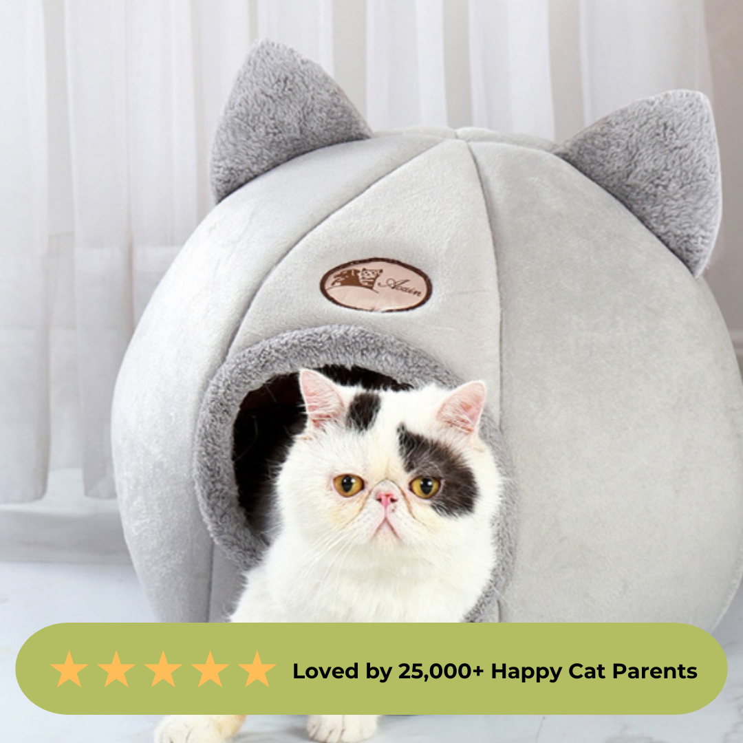 Calming Cave Bed