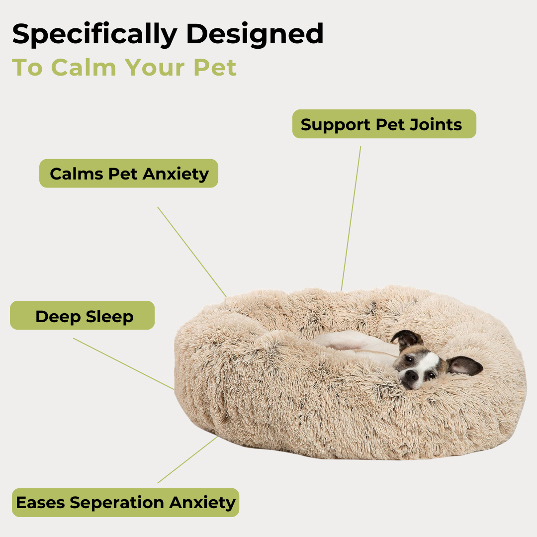 Cushion Cloud Pet Bed