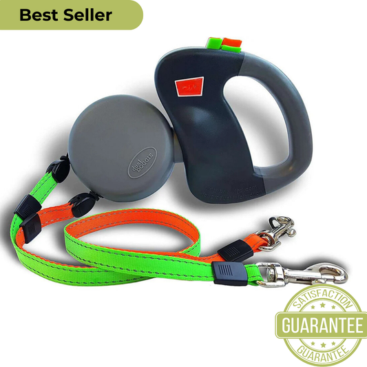 Tangle Free 2 In 1 Dog Leash