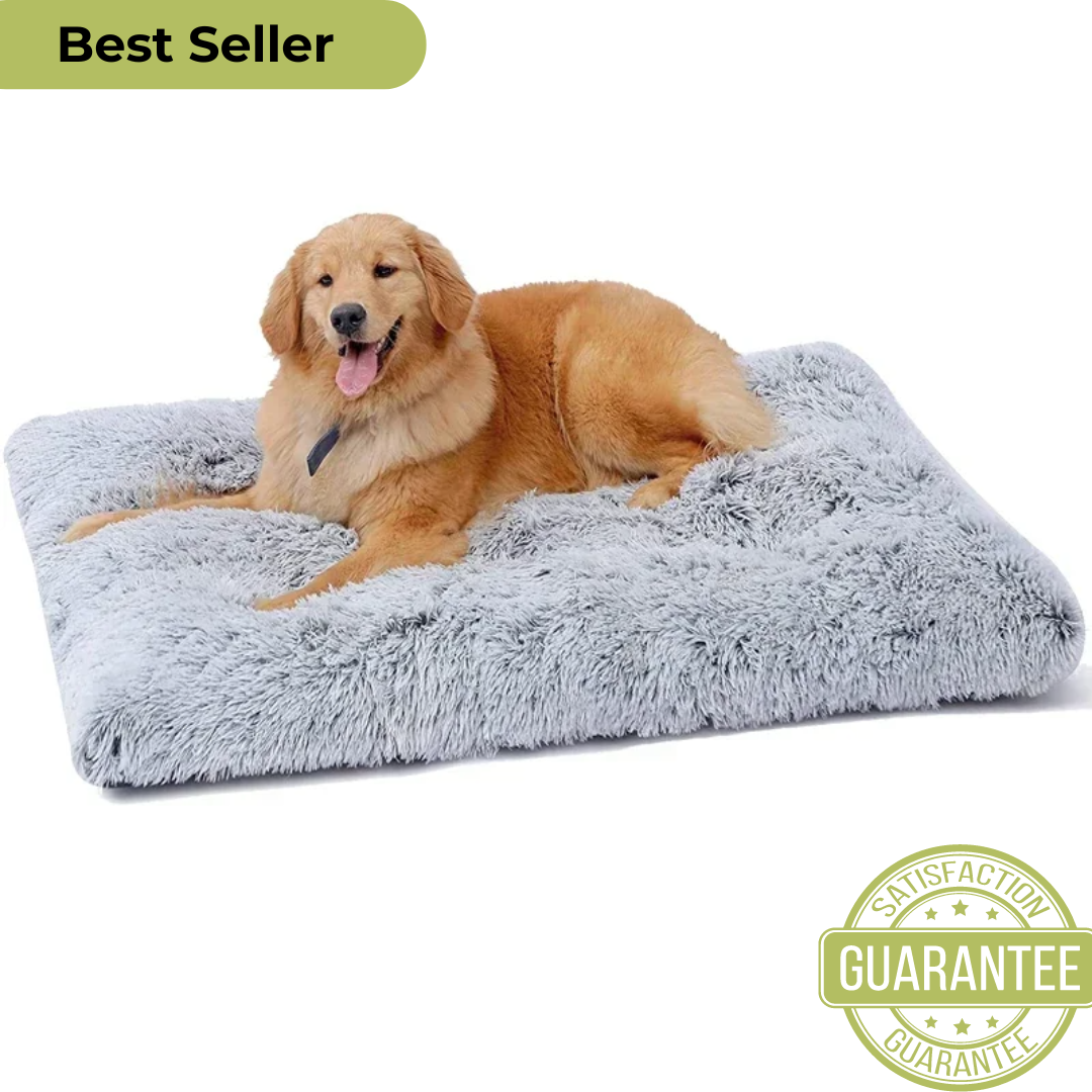 Plush Pet Bed