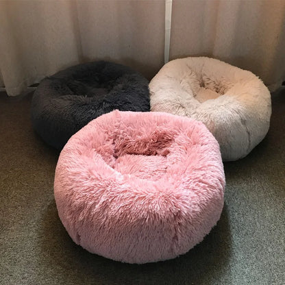 Cushion Cloud Pet Bed