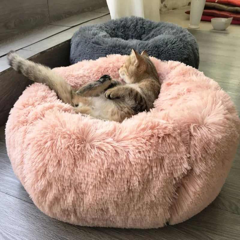 Cushion Cloud Pet Bed