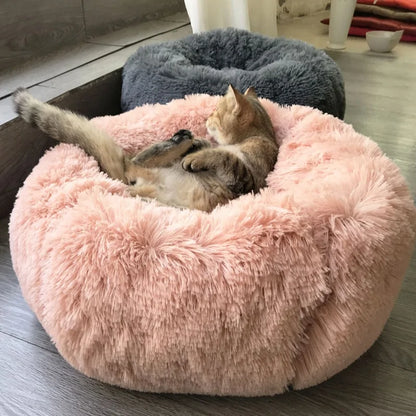 Cushion Cloud Pet Bed
