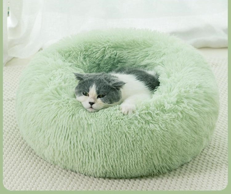 Cushion Cloud Pet Bed